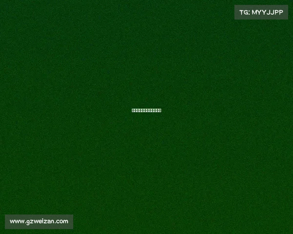 路跑赛事传播路跑运动协会